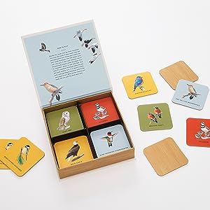 Sibley Backyard Birds Matching Game: A Memory Game with 20 Matching Pairs for Children (Sibley Birds)