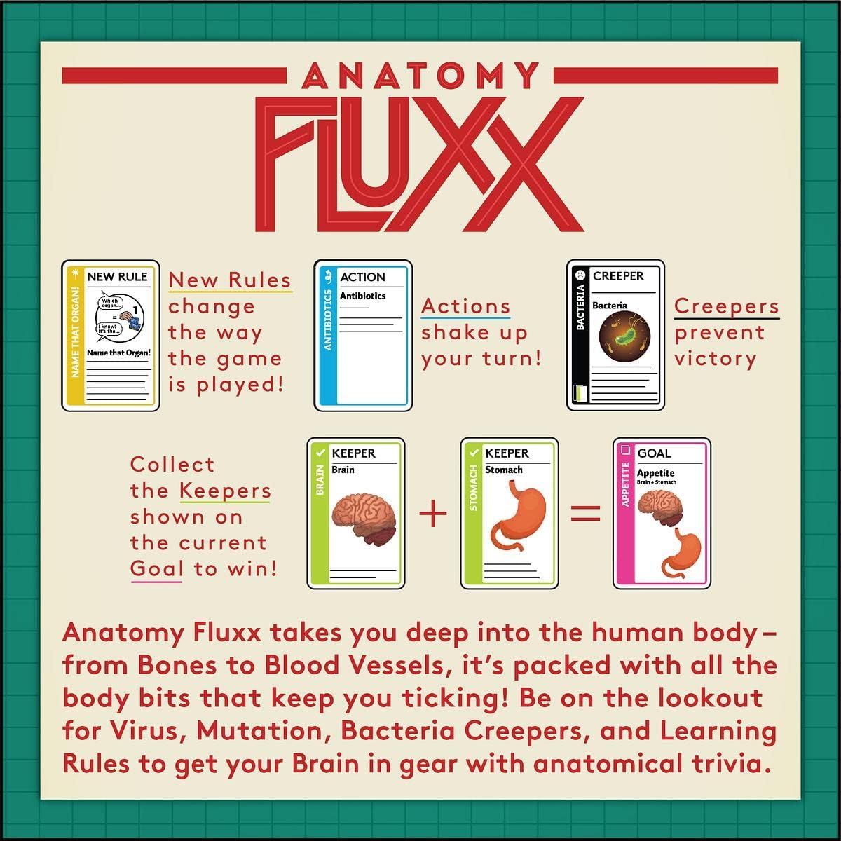 Looney Labs Anatomy Fluxx Card Game - Card Games for Kids and Adults Fun Games Board Games for Family Game Night Educational Games - 100 Playing Cards, 2-6 Player Games Ages 12 Years Old to Adult
